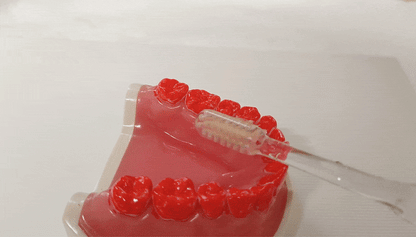 Miracle Toothbrush – Hawaii Edition