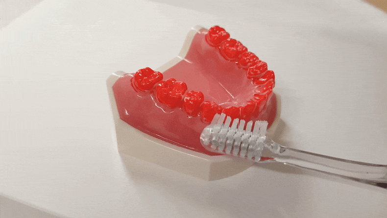 Miracle Toothbrush – Hawaii Edition